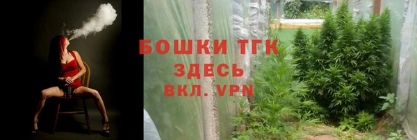 прущие крисы Вязьма