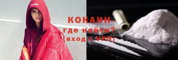 шишки Горно-Алтайск