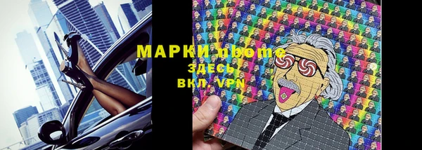 шишки Горно-Алтайск