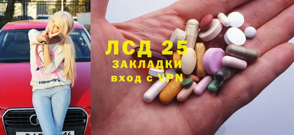 шишки Горно-Алтайск