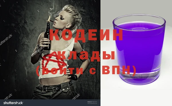 шишки Горно-Алтайск
