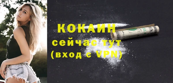 дживик Вяземский
