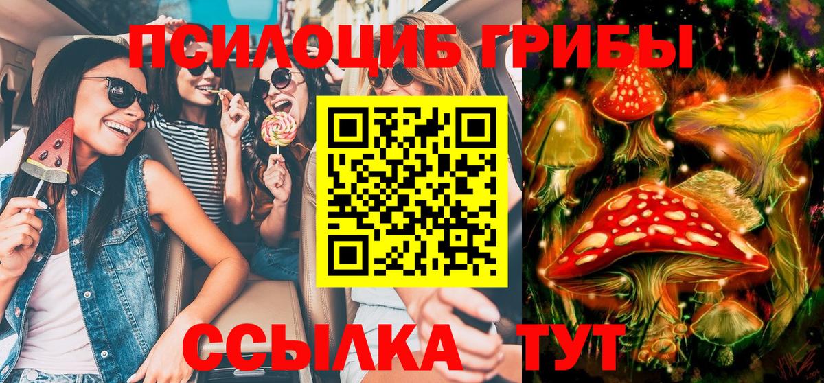 Псилоцибиновые грибы прущие грибы Губкинский