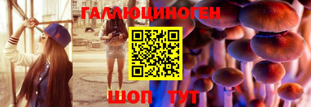 Псилоцибиновые грибы Psilocybine cubensis  Галлюциногенные грибы прущие грибы  Губкинский  Вход с VPN 